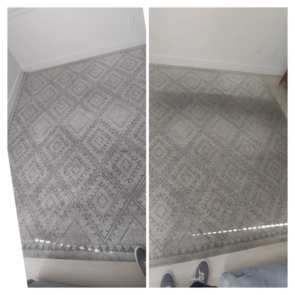 Gallery image 7 — Blue Carpet Cleaning