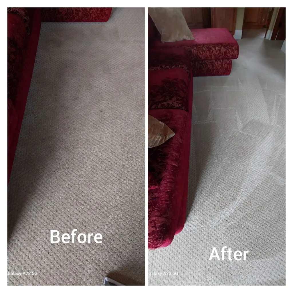 Gallery image 10 — Blue Carpet Cleaning