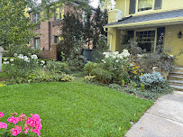 About fall yard clean up near me