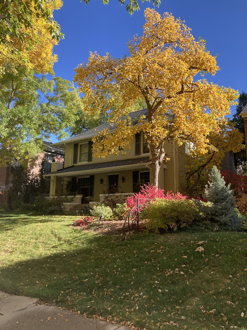 Gallery image 3 — fall yard clean up near me