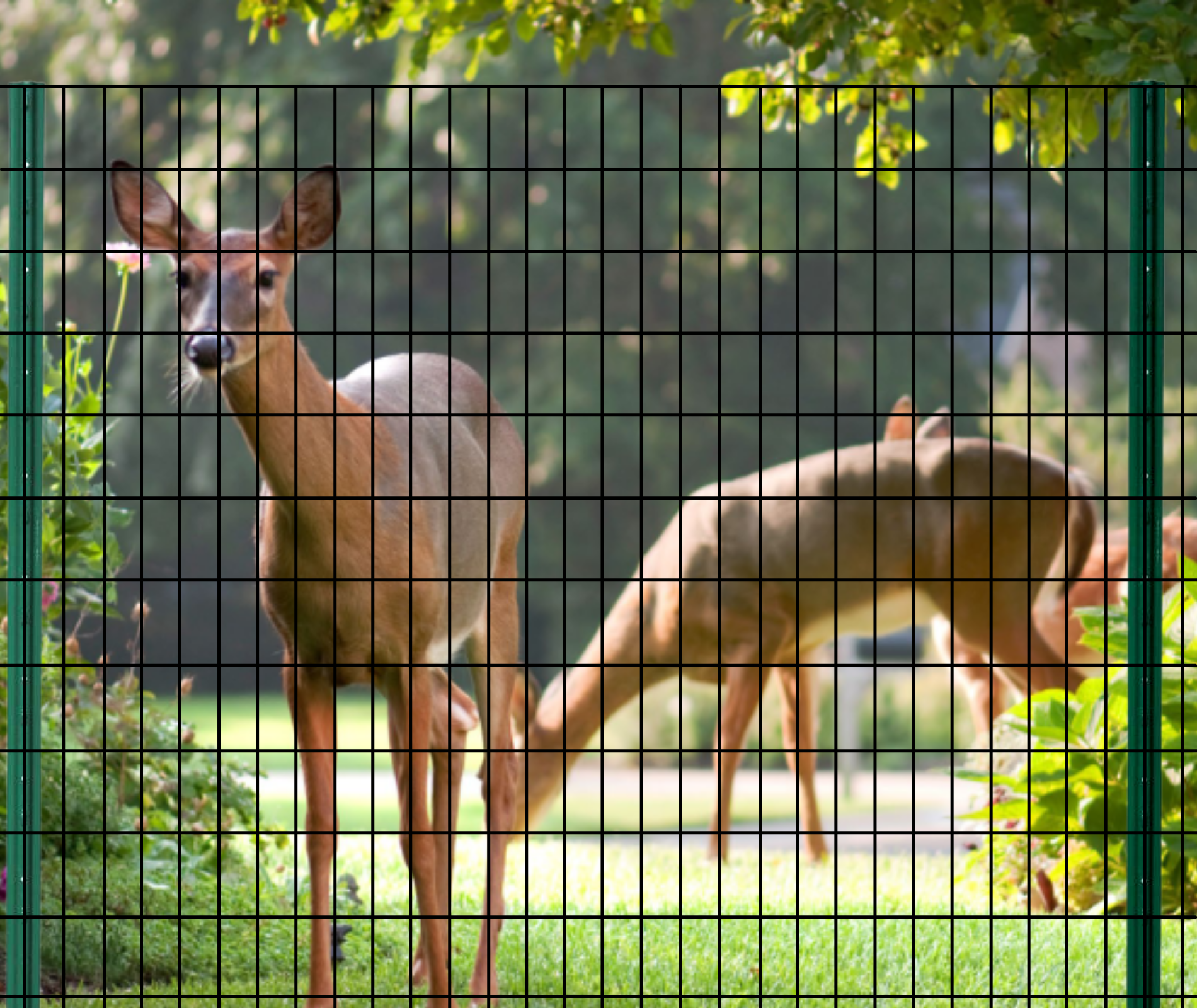 Gallery image 7 — automated gate installer Northern California