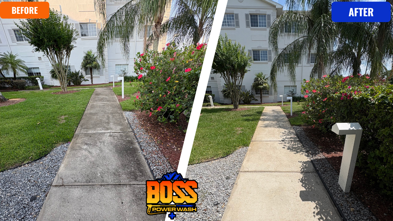 Gallery image 6 — roof washing Orlando