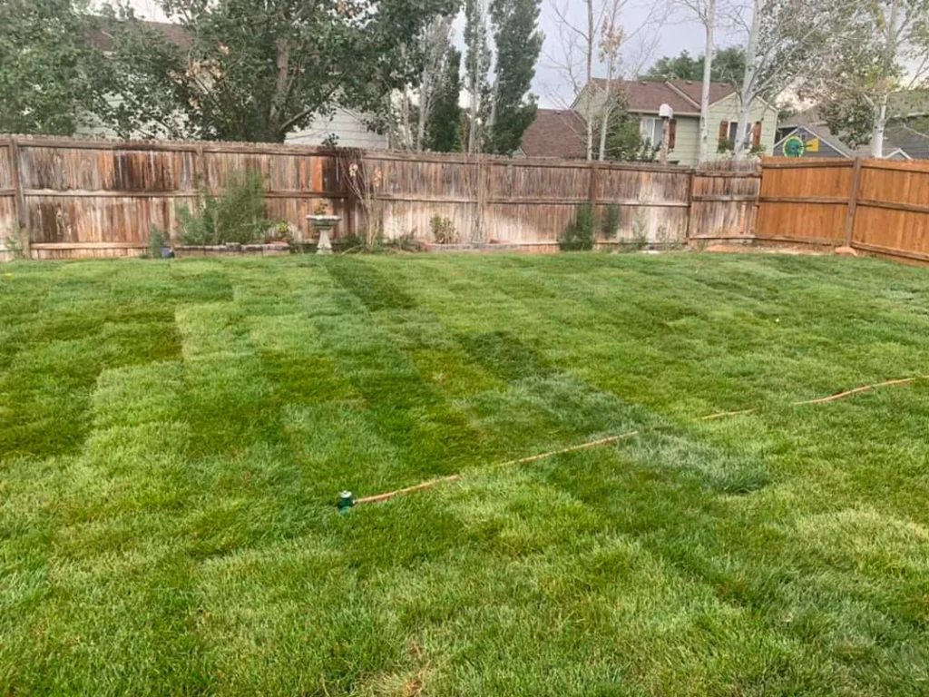 Gallery image 14 — garden design specialist Colorado