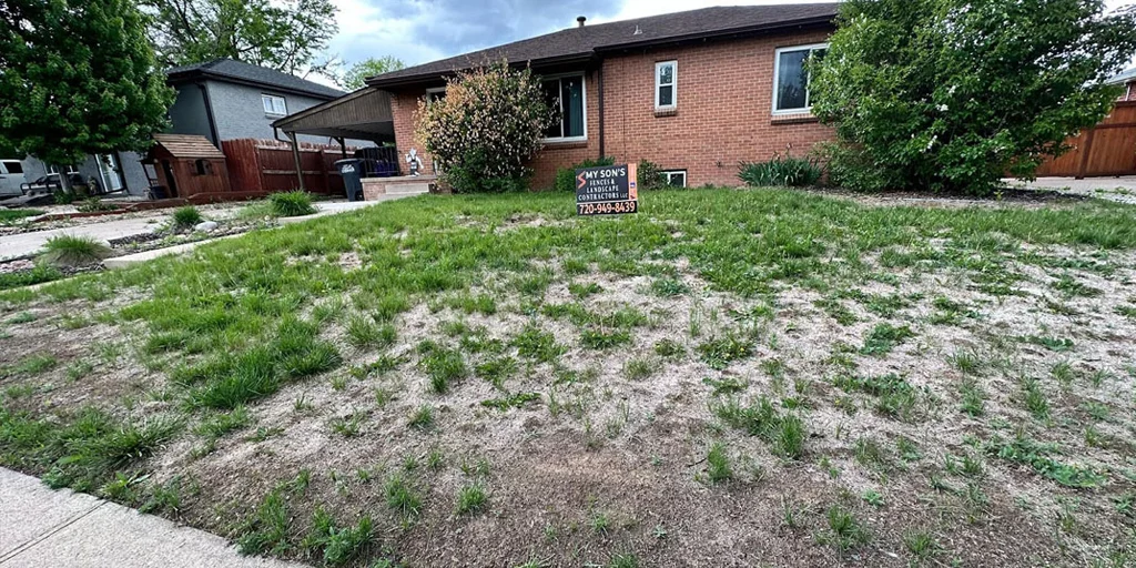 Gallery image 19 — garden design specialist Colorado