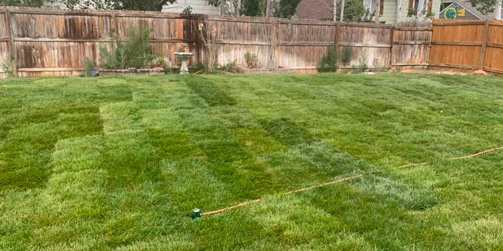 Gallery image 6 — garden design specialist Colorado