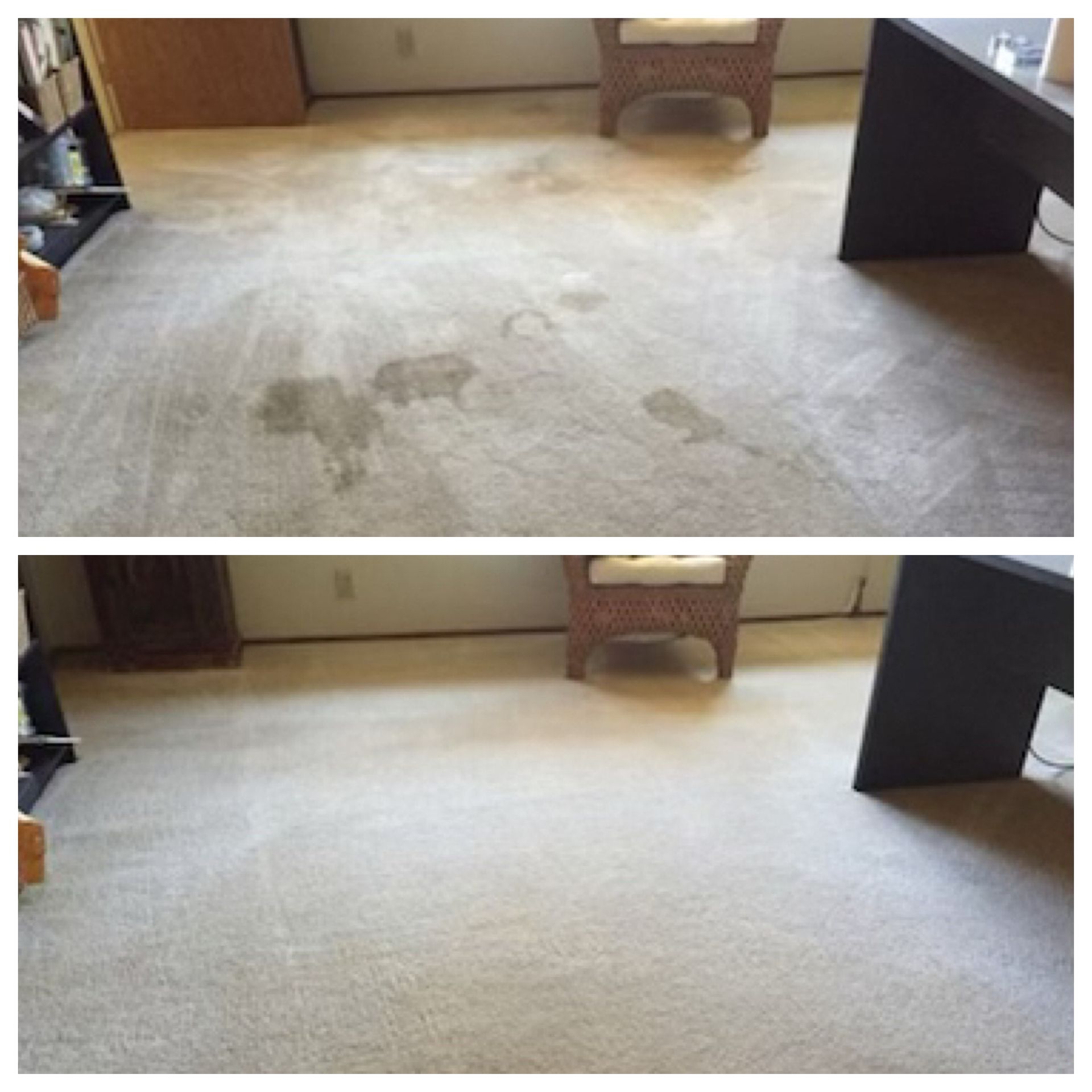 Gallery image 1 — Mega Dry Carpet Cleaning