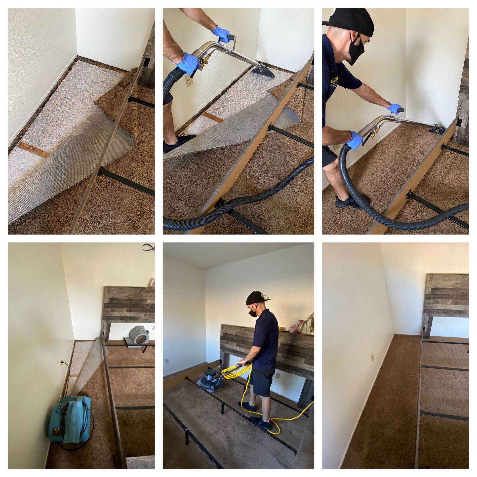 Gallery image 4 — Mega Dry Carpet Cleaning
