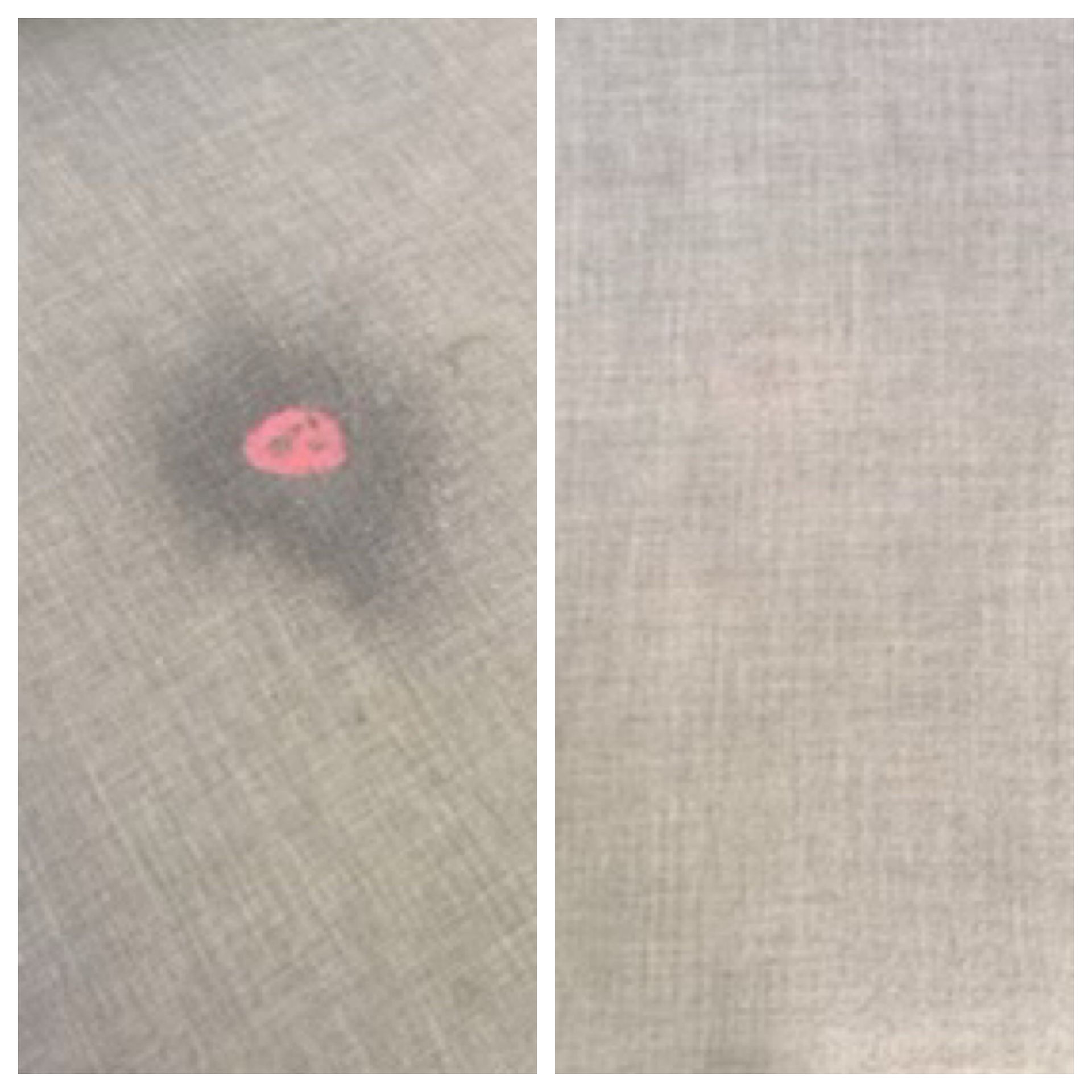 Gallery image 5 — Mega Dry Carpet Cleaning