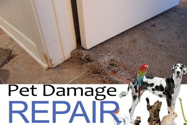 About commercial carpet repair %AREA%