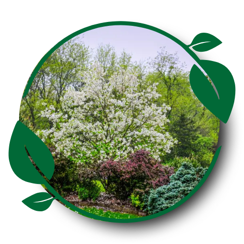 Gallery image 4 — landscaping in Commerce City