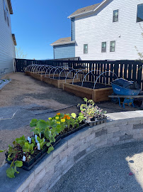 drip irrigation conversion Denver