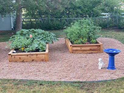 custom cedar planters Congress Park