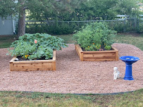 Gallery image 5 — custom cedar planters Congress Park