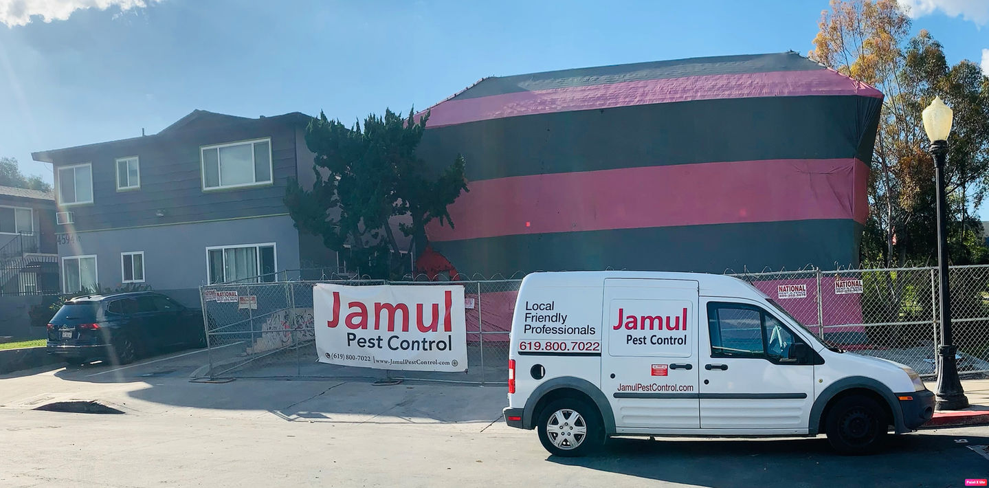 Gallery image 2 — fumigation tent service San Diego