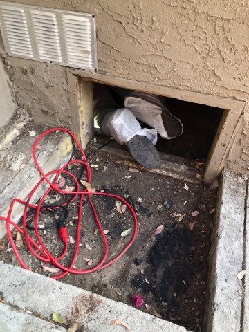 Gallery image 3 — fumigation tent service San Diego