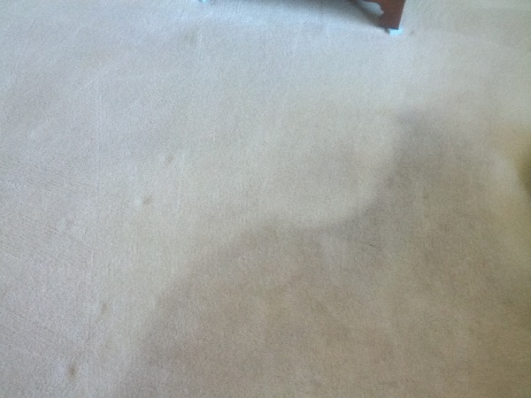 Gallery image 1 — Peninsula Carpet Care