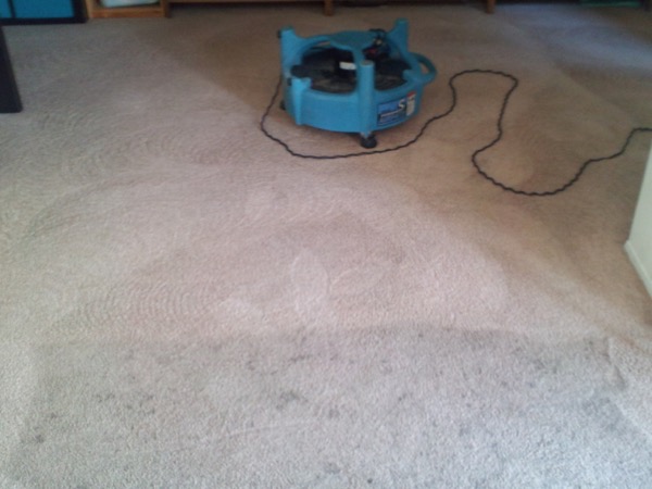 Gallery image 3 — Peninsula Carpet Care
