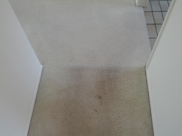 Gallery image 8 — Peninsula Carpet Care