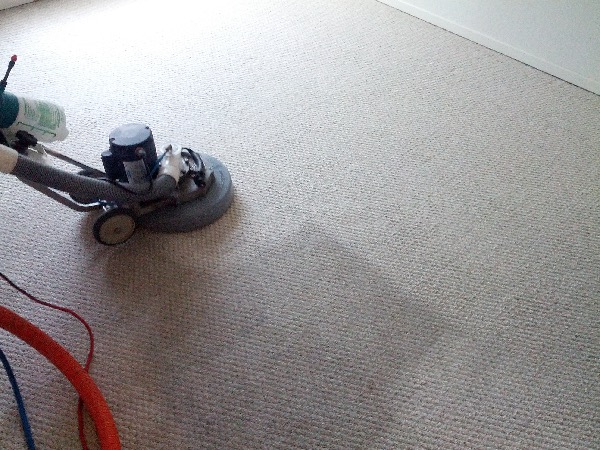 Gallery image 9 — Peninsula Carpet Care