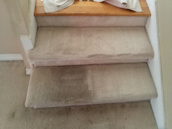 Gallery image 15 — Peninsula Carpet Care