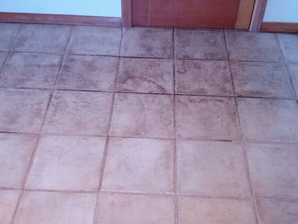 Gallery image 10 — Peninsula Carpet Care