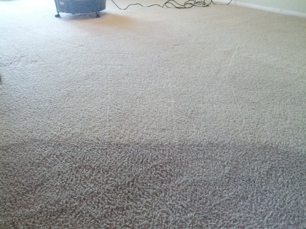 Gallery image 20 — Peninsula Carpet Care