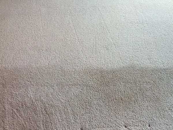 Gallery image 21 — Peninsula Carpet Care