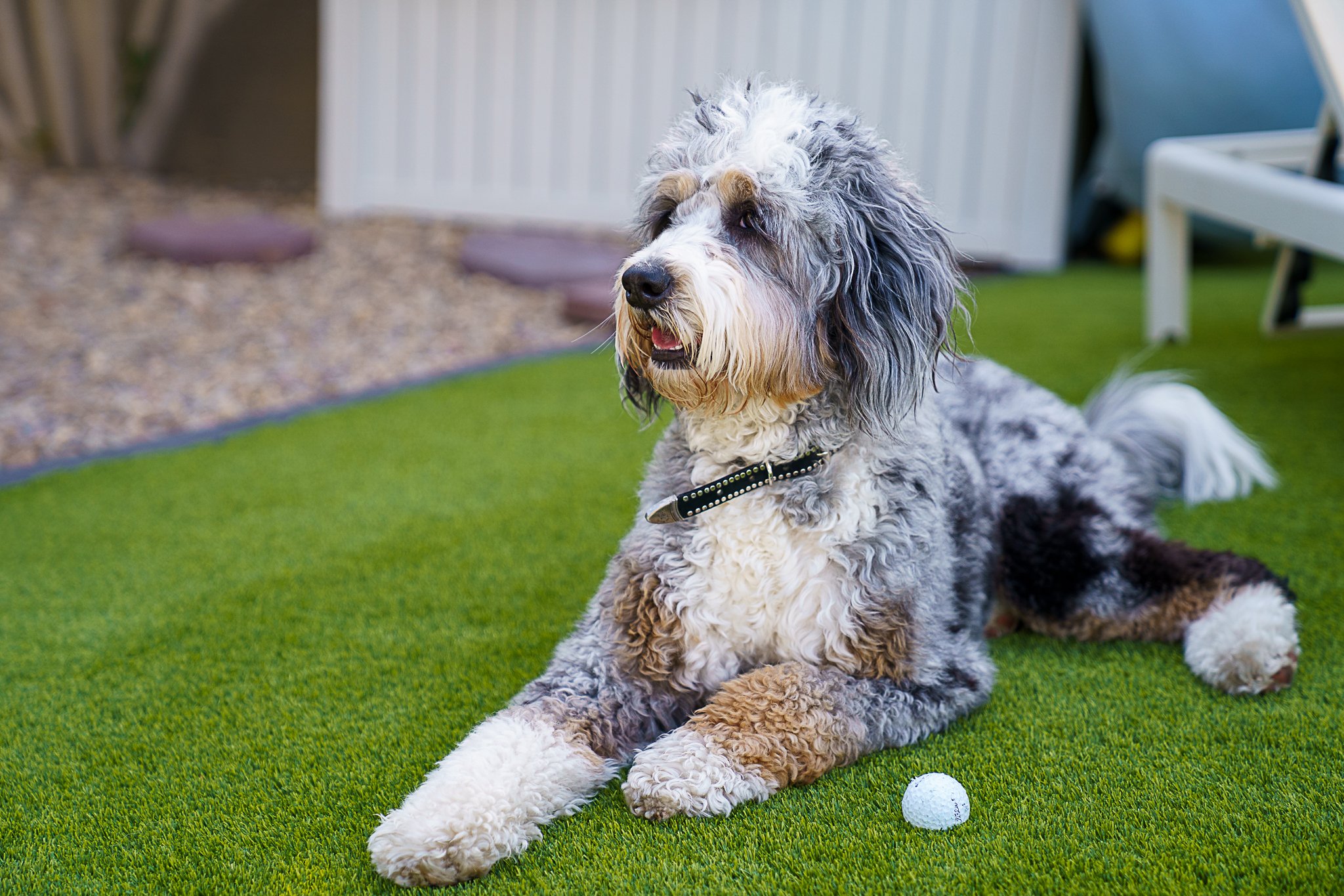 About professional turf cleaning Anthem