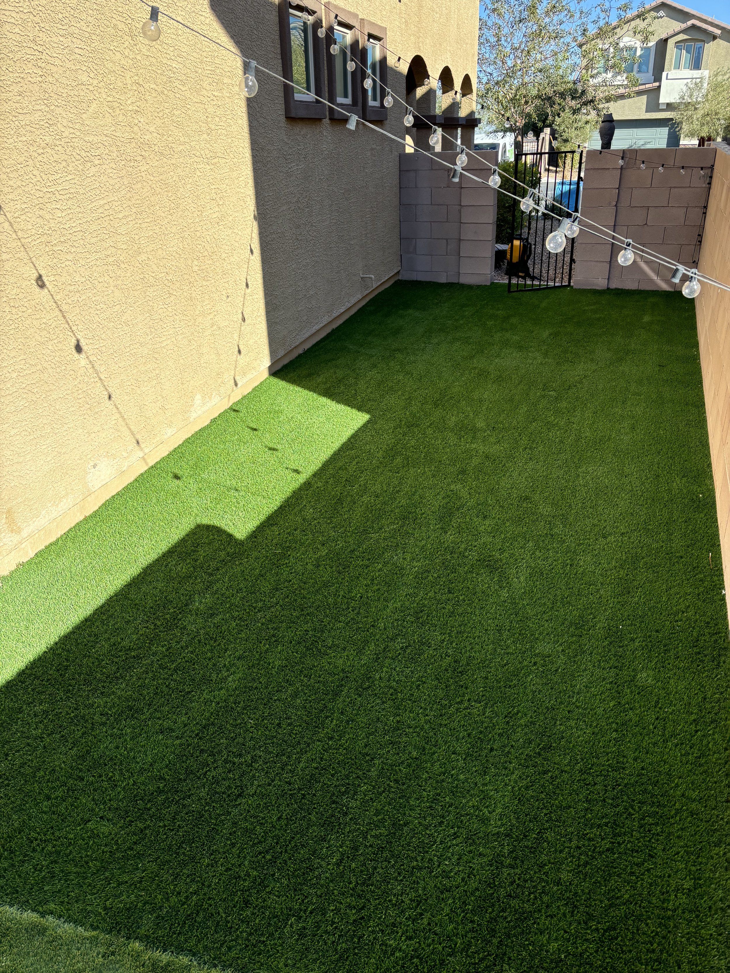 Gallery image 3 — professional turf cleaning Anthem