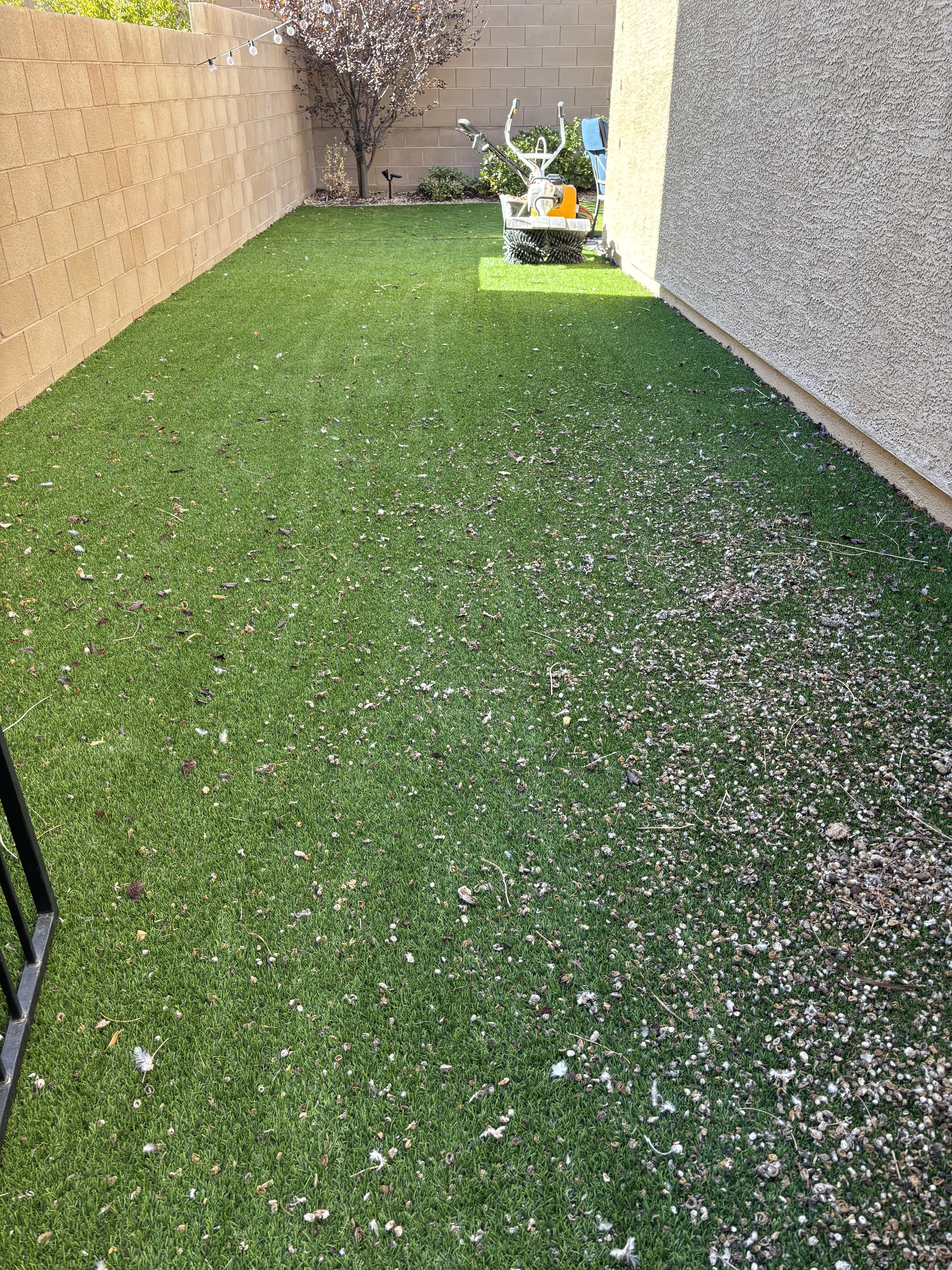 Gallery image 1 — professional turf cleaning Anthem