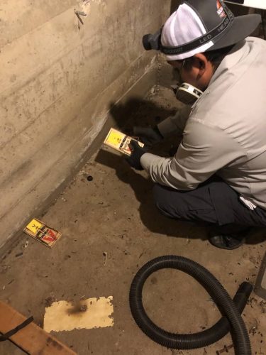 Gallery image 2 — gopher removal San Diego