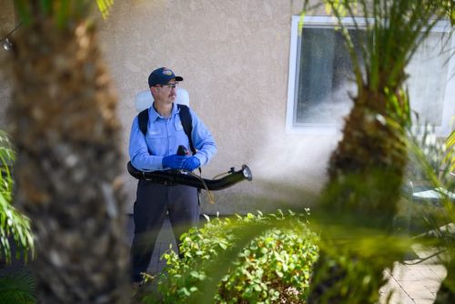 Gallery image 6 — gopher removal San Diego