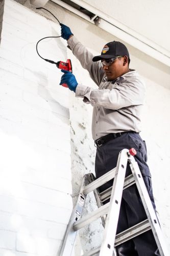 Gallery image 7 — gopher removal San Diego