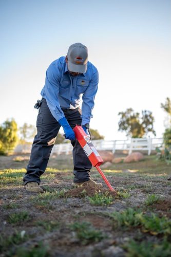 Gallery image 8 — gopher removal San Diego