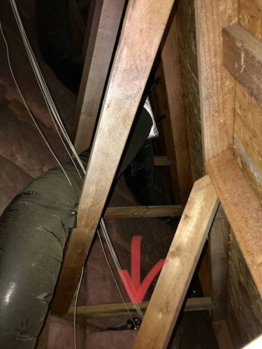gopher removal San Diego