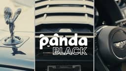 Gallery image 4 — Panda Hub