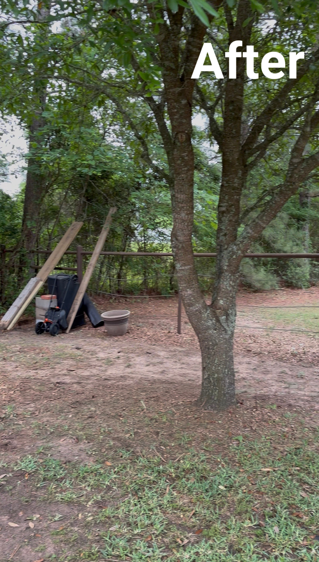 Gallery image 1 — estate cleanouts in Sugar Land