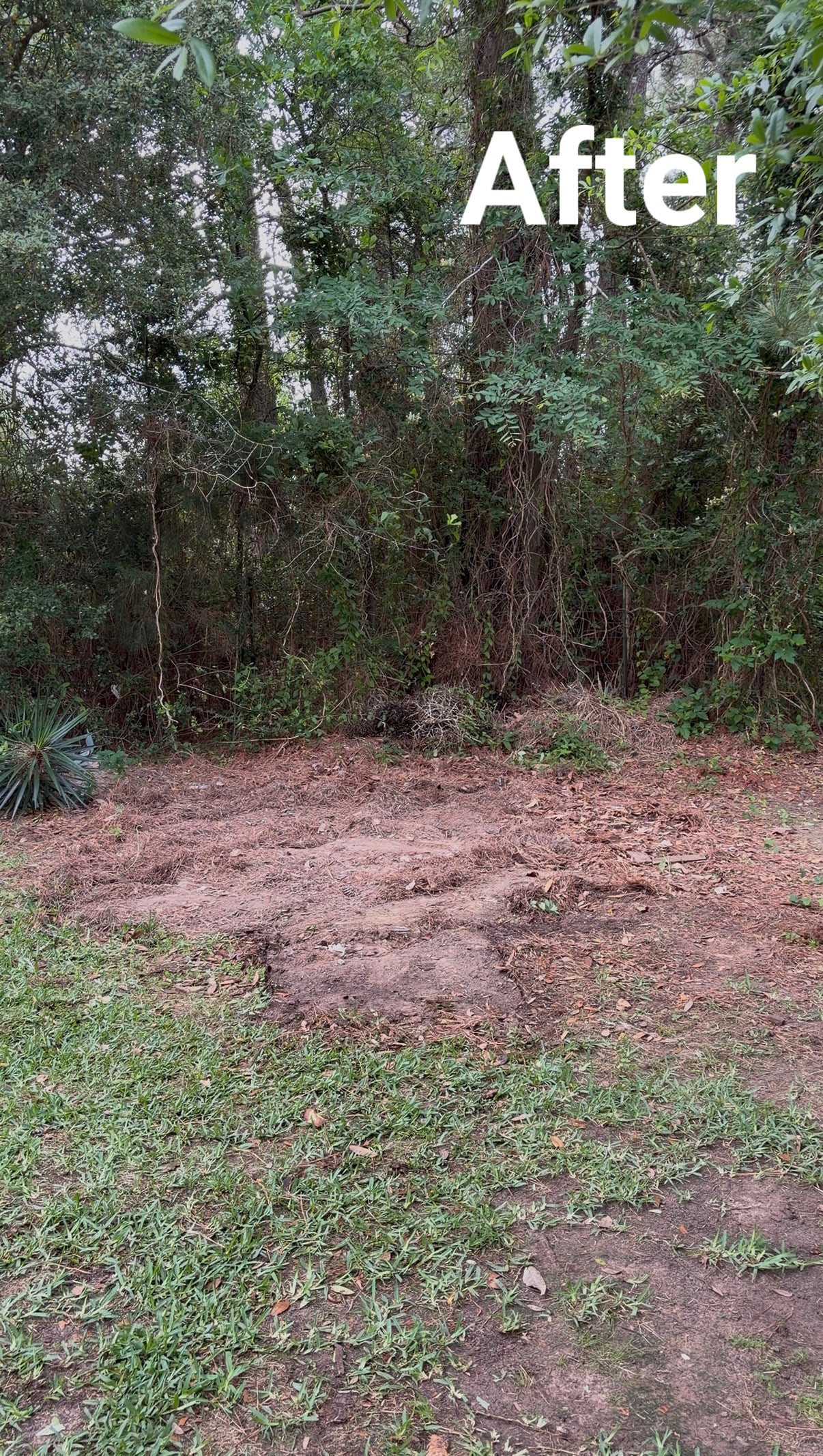 Gallery image 32 — estate cleanouts in Sugar Land
