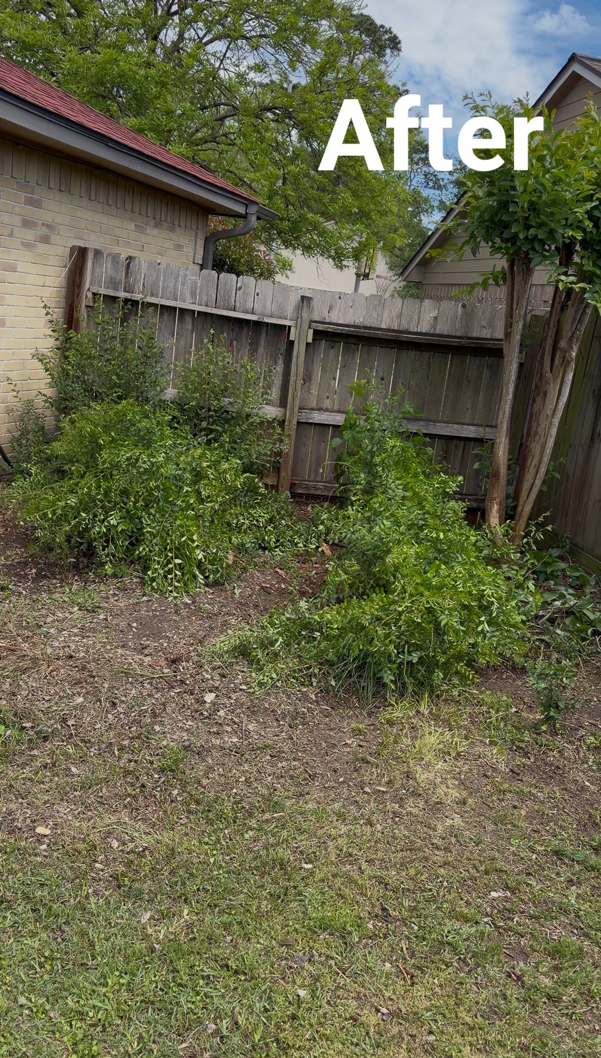 Gallery image 2 — estate cleanouts in Sugar Land