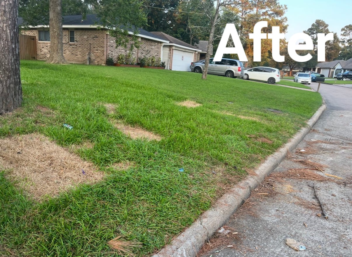 Gallery image 13 — estate cleanouts in Sugar Land