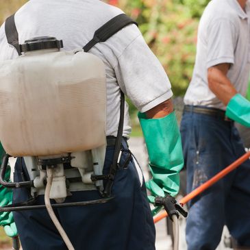Gallery image 9 — Wolfy's Pest Control