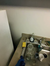 Gallery image 5 — ant control near me