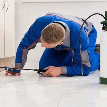 Gallery image 7 — ant control near me