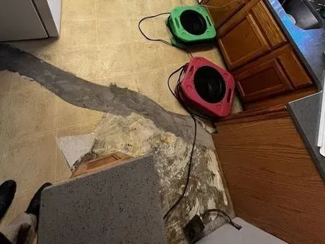 Gallery image 6 — local disaster restoration company Conyers