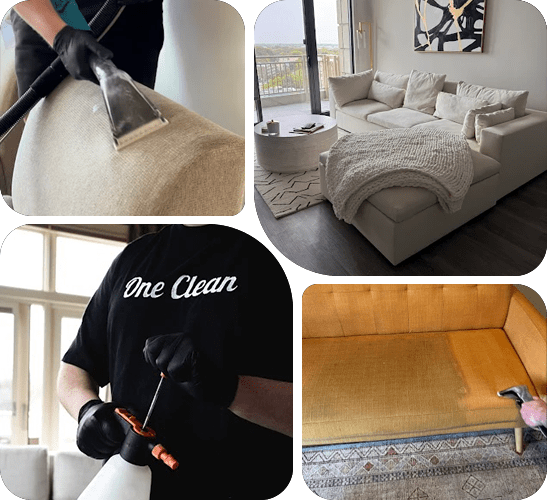 pet safe carpet cleaning Chicago