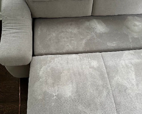 Gallery image 8 — pet safe carpet cleaning Chicago