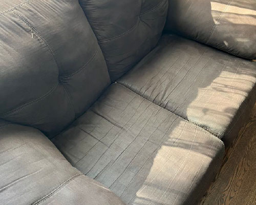 Gallery image 4 — pet safe carpet cleaning Chicago