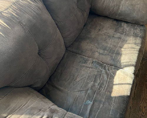 Gallery image 2 — pet safe carpet cleaning Chicago