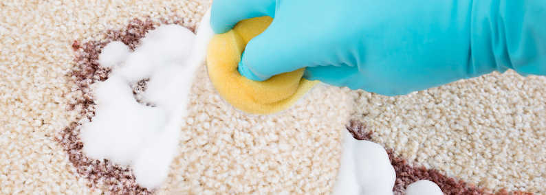 Gallery image 6 — Superb San Diego Carpet Cleaning