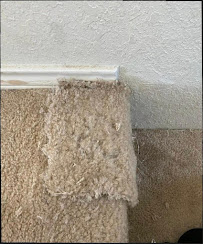 Gallery image 7 — Superb San Diego Carpet Cleaning